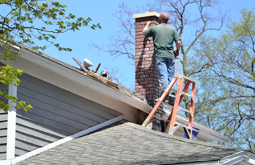 Chimney & Fireplace Inspections Services in Mercedes, TX